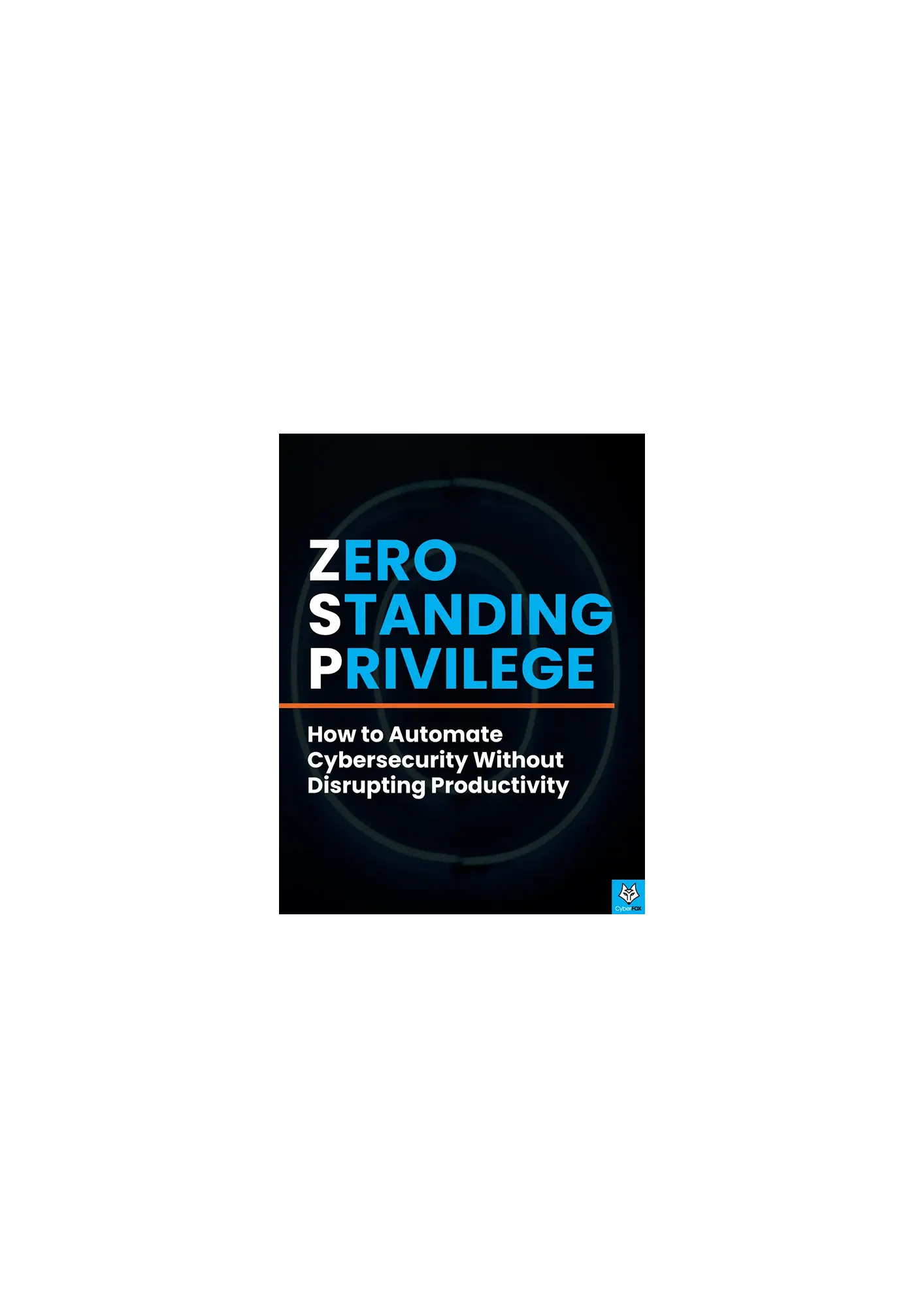 Zero Standing Privilege eBook