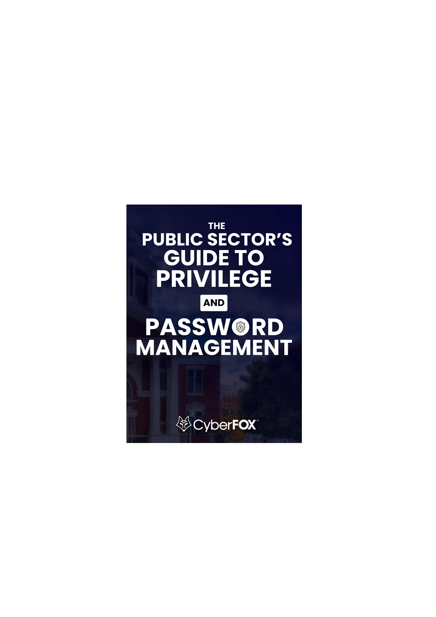 The Public Sector’s Guide to Privilege and Password Management eBook