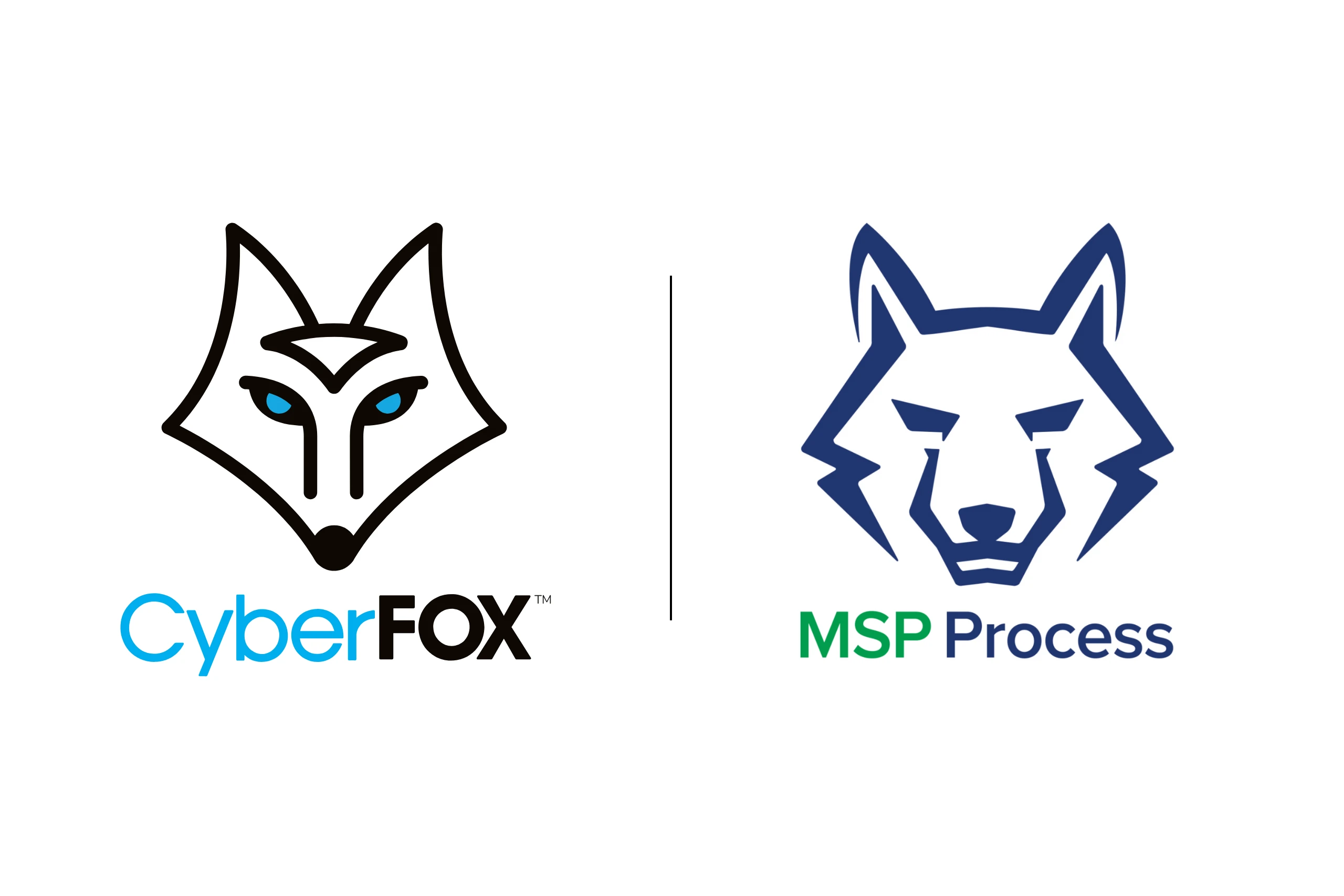 CyberFOX and MSP Process Announce Strategic Partnership to Deliver End-User and Technician Verification