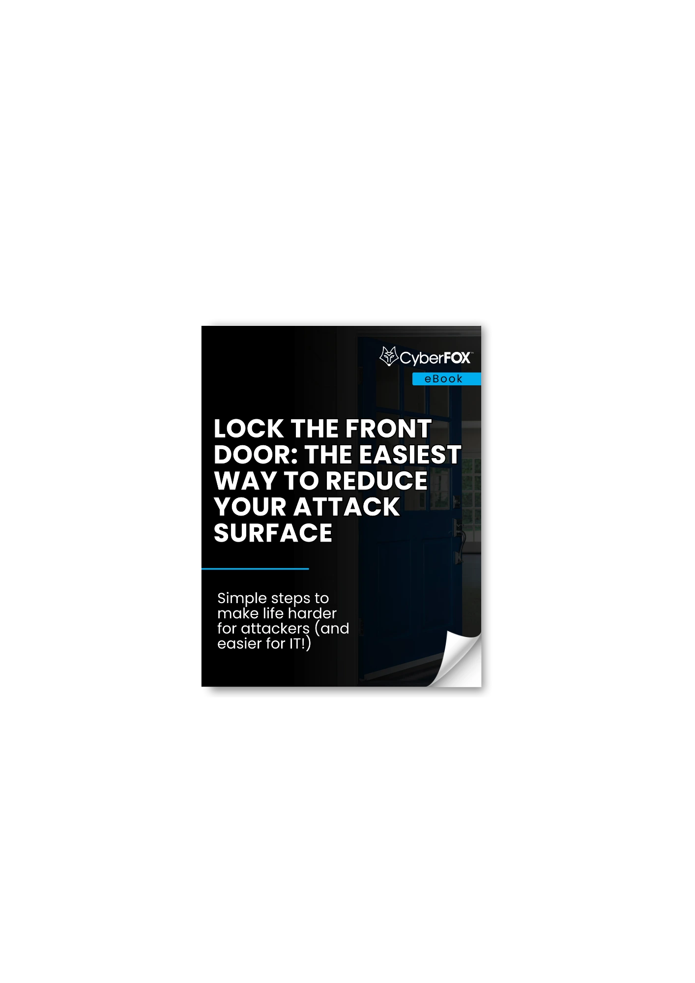 Lock the Front Door: The Easiest Way to Reduce Your Attack Surface eBook
