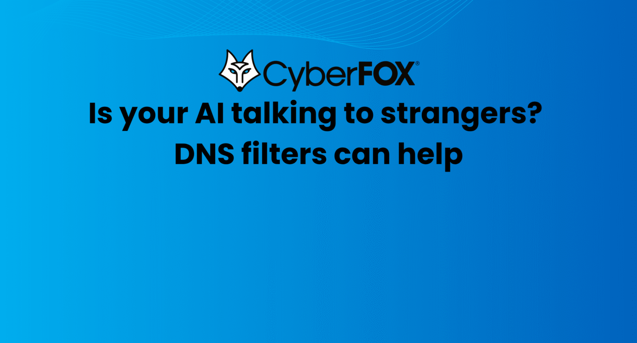 Is your AI talking to strangers? DNS filters can help