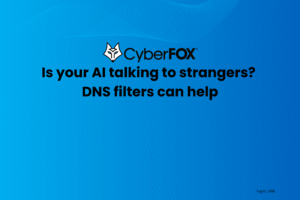 Is your AI talking to strangers? DNS filters can help