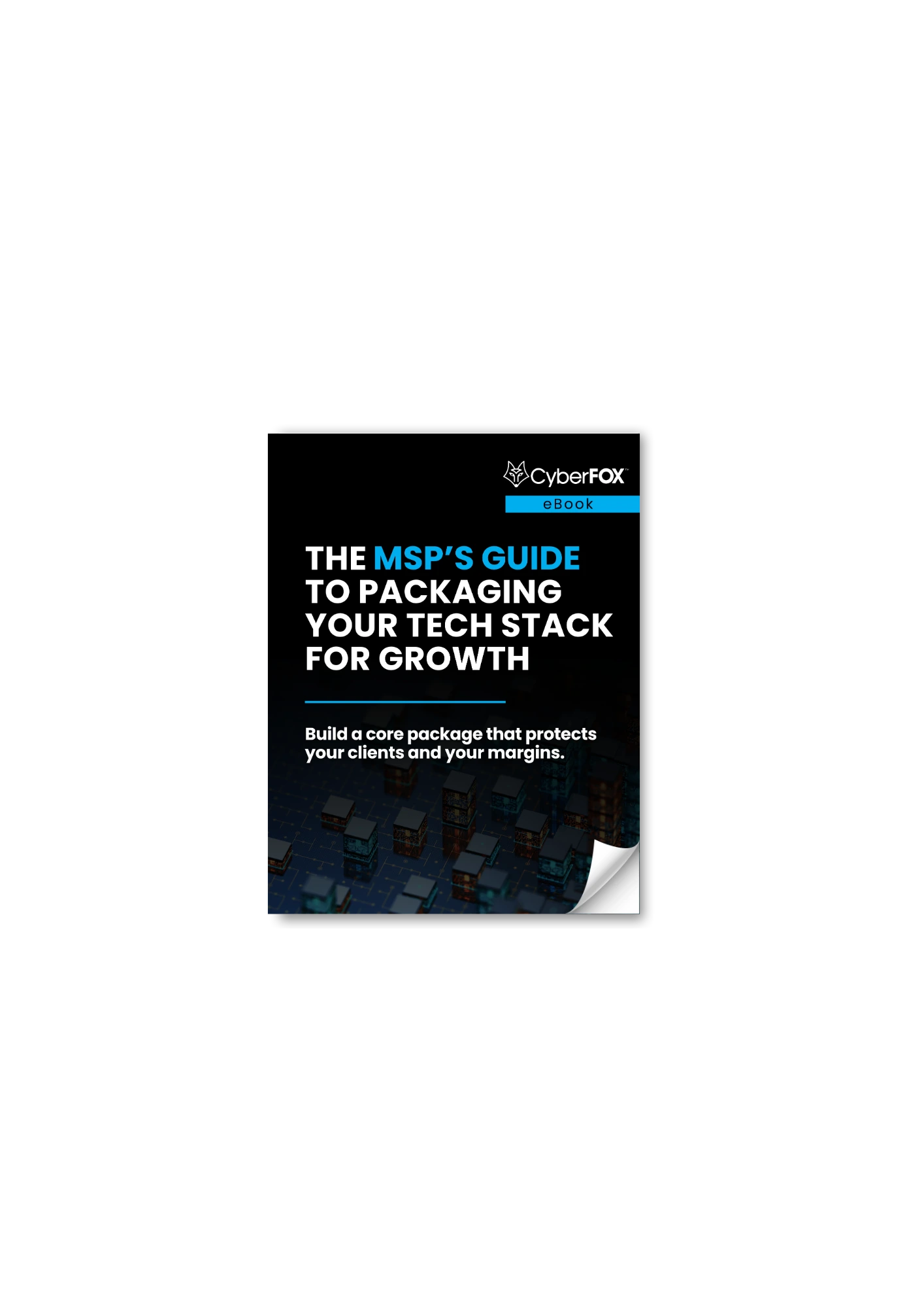 The MSP’s Guide to Packaging Your Tech Stack for Growth