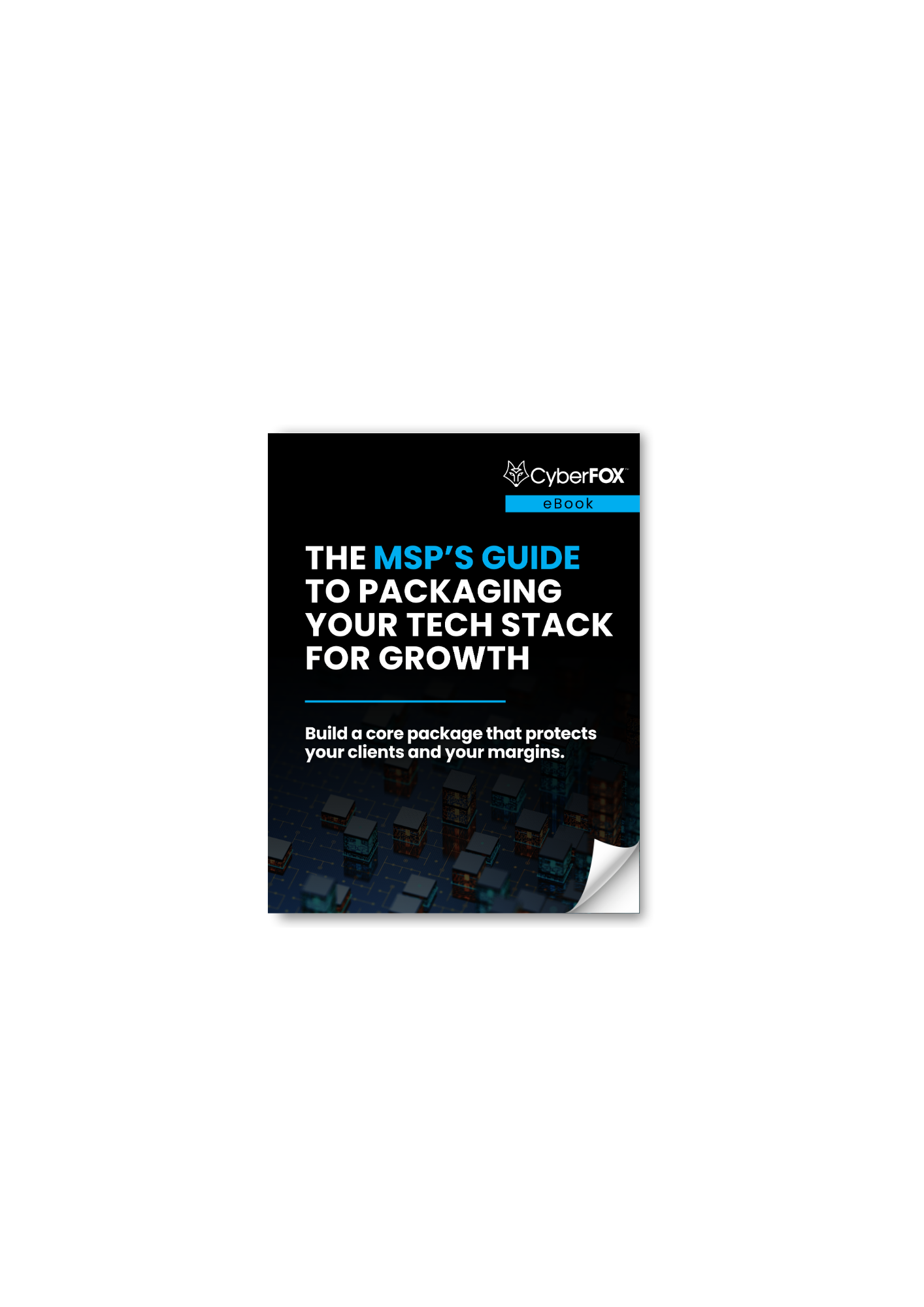 The MSP’s Guide to Packaging Your Tech Stack for Growth