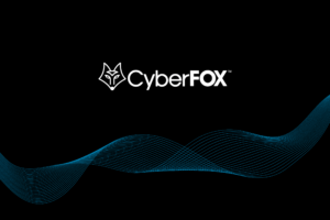 Anonymous MSP Case Study CyberFOX AutoElevate