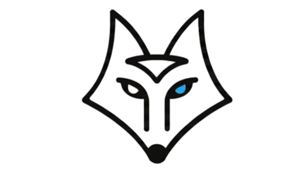 CYBERFOX (7)