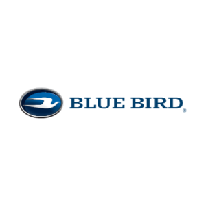 blue_bird