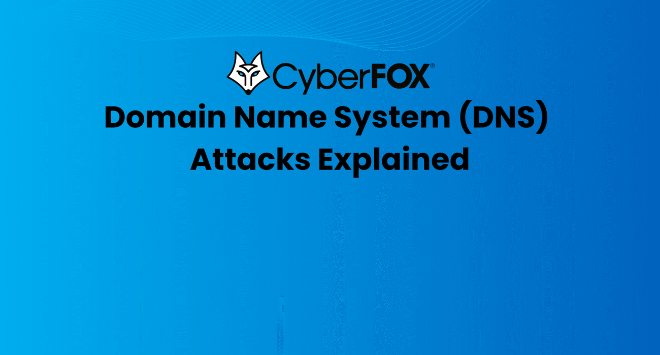 Domain Name System (DNS) Attacks Explained