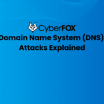 Domain Name System (DNS) Attacks Explained