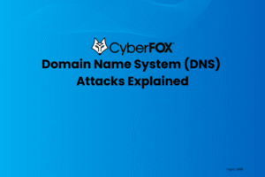 Domain Name System (DNS) Attacks Explained