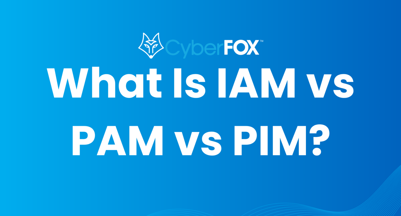 text on what is IAM, PAM, PIM concepts