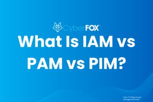 text on what is IAM, PAM, PIM concepts